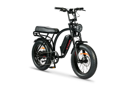 BULLBIKE Catania Fatbike E-Bike 250W 48V 13Ah 20 km/h Mit Gashebel