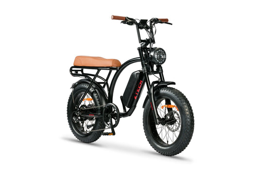 BULLBIKE Catania Fatbike E-Bike 250W 48V 13Ah 20 km/h Mit Gashebel