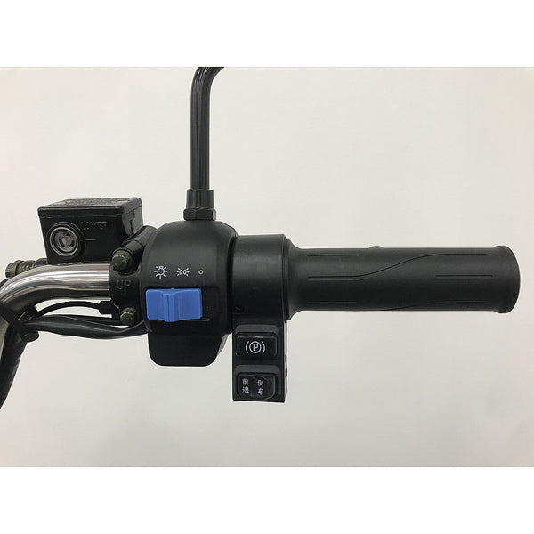 BULLBIKE Kano Cargo 20km/h 72V 32Ah 3-Rad Elektro-Roller