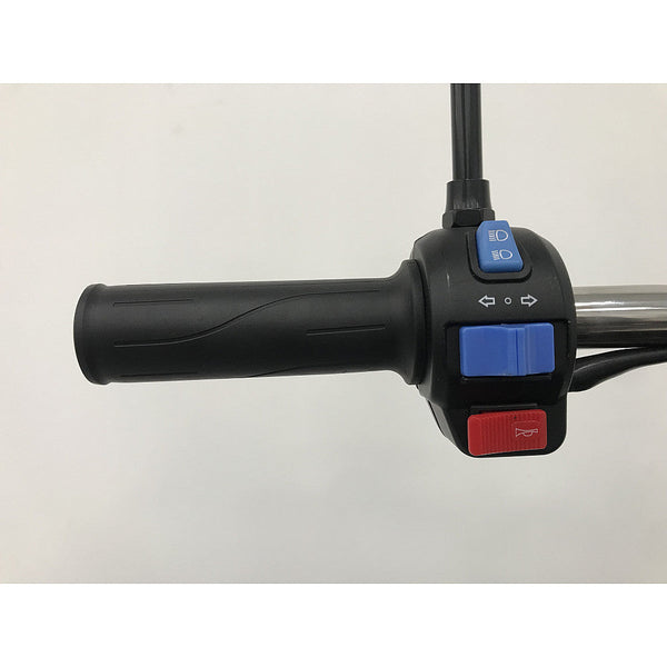 BULLBIKE Kano XL hydraulic Cargo 20km/h 72V 45Ah 3-Rad Elektro-Roller