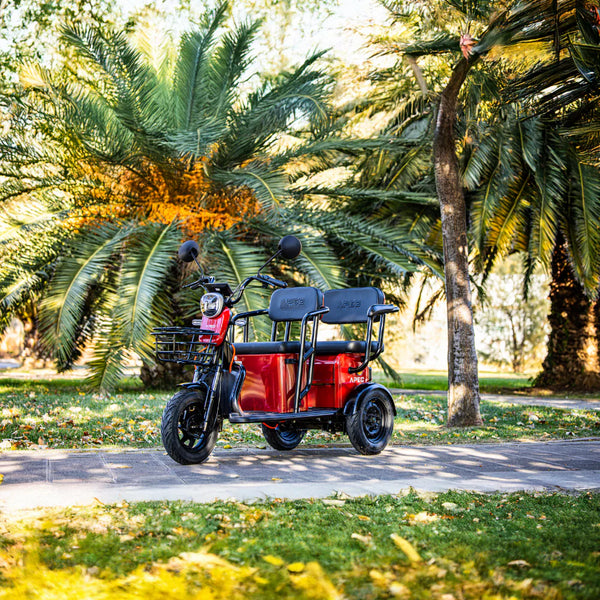 BULLBIKE Proto Elektro Scooter 500W 60V 20Ah 20Km/h/ Seniorenmobil / Dreirad