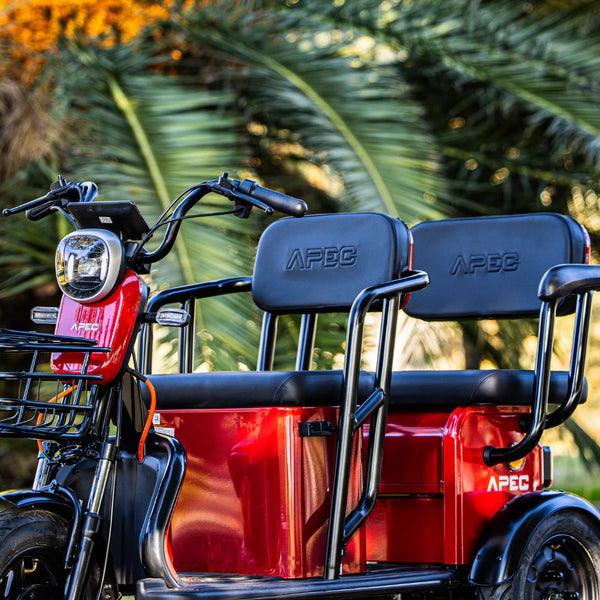BULLBIKE Proto Elektro Scooter 500W 60V 20Ah 20Km/h/ Seniorenmobil / Dreirad