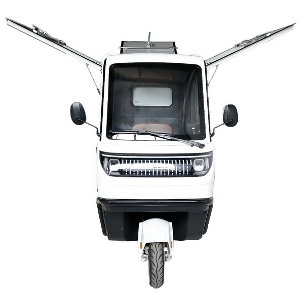 BULLBIKE Lagos Cargo E-Lastendreirad 25 km/h 60V 100Ah 500W