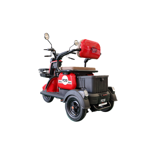 BULLBIKE Harbin Elektro Scooter 500W 60V 20Ah 20Km/h/ Seniorenmobil / Dreirad