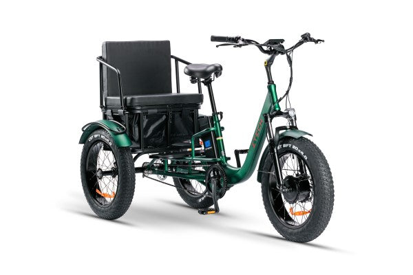 BULLBIKE TOKIO-Max E-Dreirad Fahrrad 48V 13Ah Lithium 250W 20Km/h