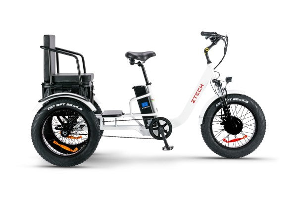 BULLBIKE TOKIO-Max E-Dreirad Fahrrad 48V 13Ah Lithium 250W 20Km/h