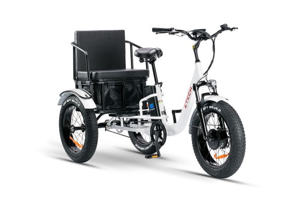 BULLBIKE TOKIO-Max E-Dreirad Fahrrad 48V 13Ah Lithium 250W 20Km/h