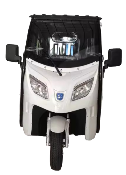 BULLBIKE Mainz Cargo 20km/h 60V 100Ah 500W Dreirad Pickup