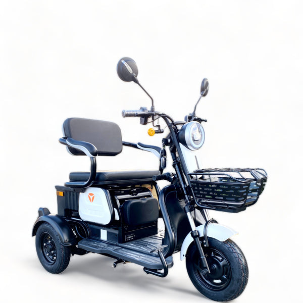 BULLBIKE TRONDHEIM Electric Scooter 600W 60V 20Ah 25Km/h/ Senior Mobility / Tricycle 