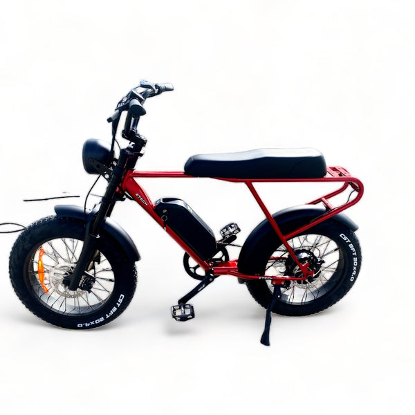 BULLBIKE Sofia Fatbike E-Bike 250W 48V 13Ah 20 km/h Mit Gashebel