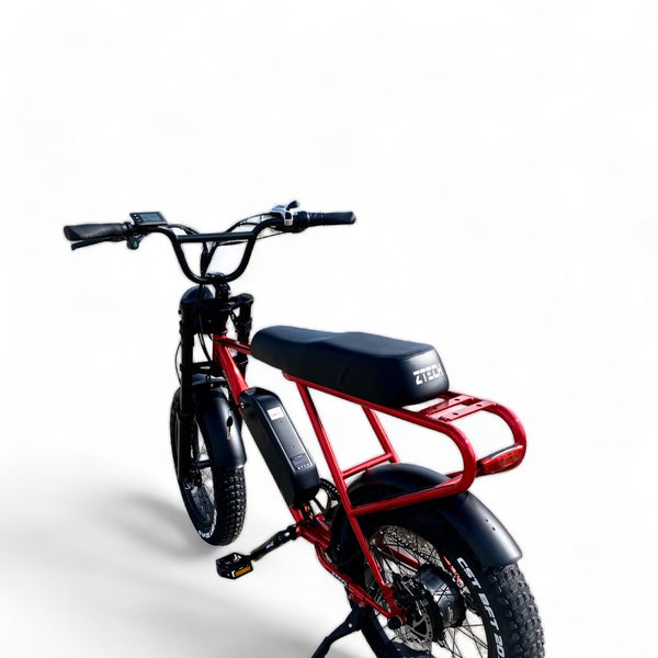 BULLBIKE Sofia Fatbike E-Bike 250W 48V 13Ah 20 km/h Mit Gashebel