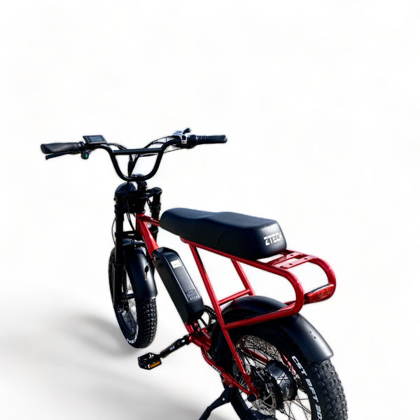 BULLBIKE Sofia Fatbike E-Bike 250W 48V 13Ah 25 km/h 