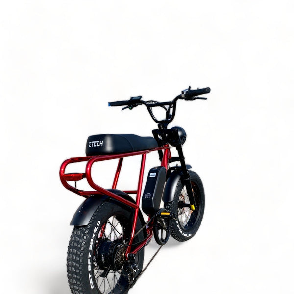 BULLBIKE Sofia Fatbike E-Bike 250W 48V 13Ah 20 km/h Mit Gashebel