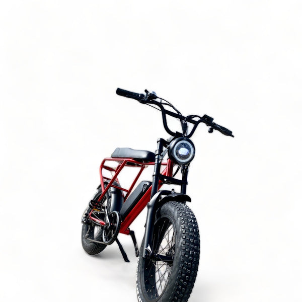 BULLBIKE Sofia Fatbike E-Bike 250W 48V 13Ah 20 km/h Mit Gashebel