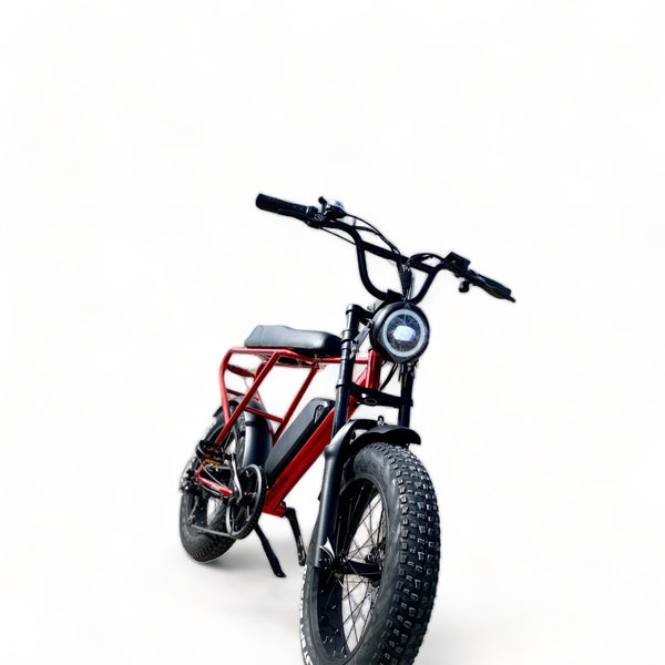 BULLBIKE Sofia Fatbike E-Bike 250W 48V 13Ah 25 km/h 