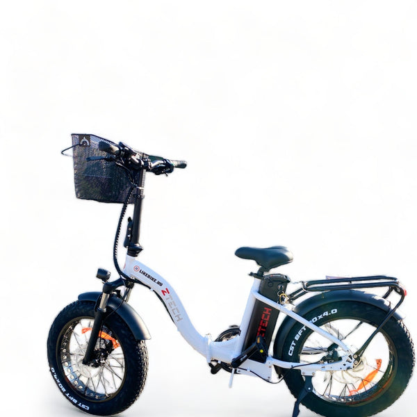 BULLBIKE Brussel Fatbike Zusammenklappbares/ E-Bike 250W 48V 13Ah 20 km/h