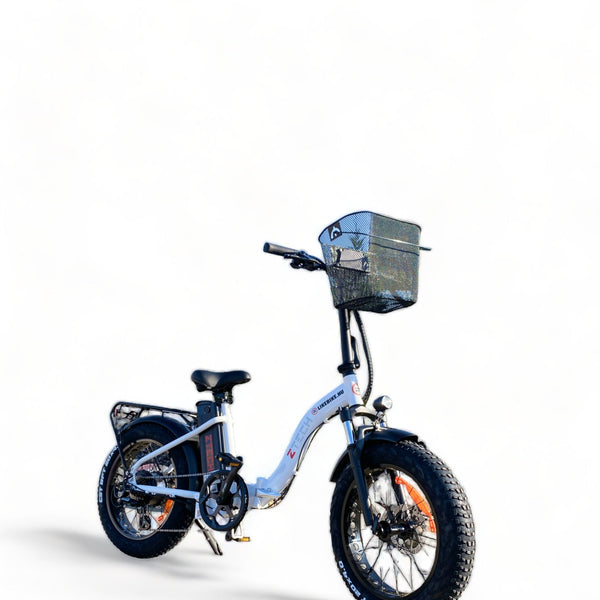BULLBIKE Brussel Fatbike Zusammenklappbares/ E-Bike 250W 48V 13Ah 20 km/h