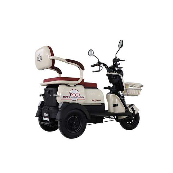 BULLBIKE Harbin Elektro Scooter 500W 60V 20Ah 20Km/h/ Seniorenmobil / Dreirad