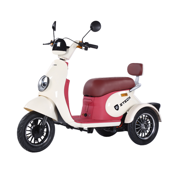 BULLBIKE Bogota Elektro Scooter 250 Watt (Max Peak 0,6 kW) 60V 20Ah 20Km/h/ Seniorenmobil / Dreirad