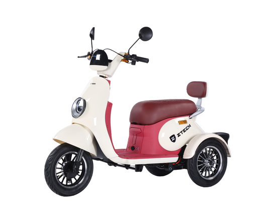BULLBIKE Bogota Elektro Scooter 250 Watt (Max Peak 0,6 kW) 60V 20Ah 20Km/h/ Seniorenmobil / Dreirad