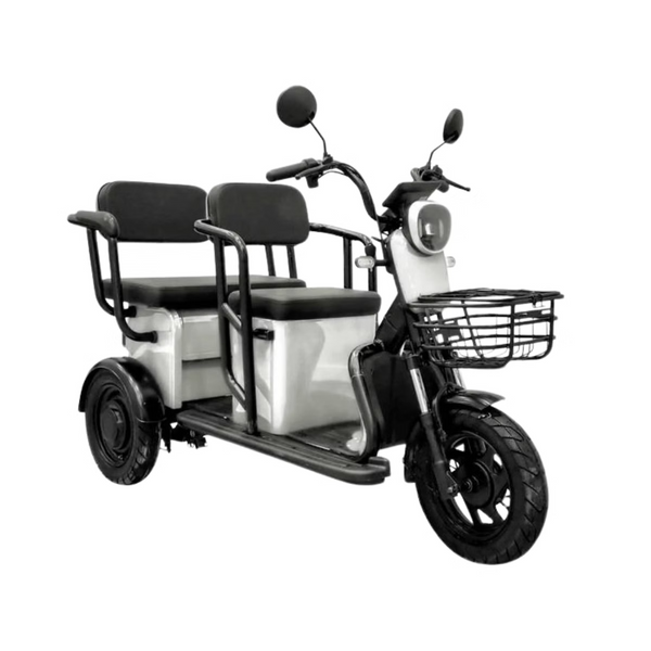 BULLBIKE Proto Elektro Scooter 500W 60V 20Ah 20Km/h/ Seniorenmobil / Dreirad