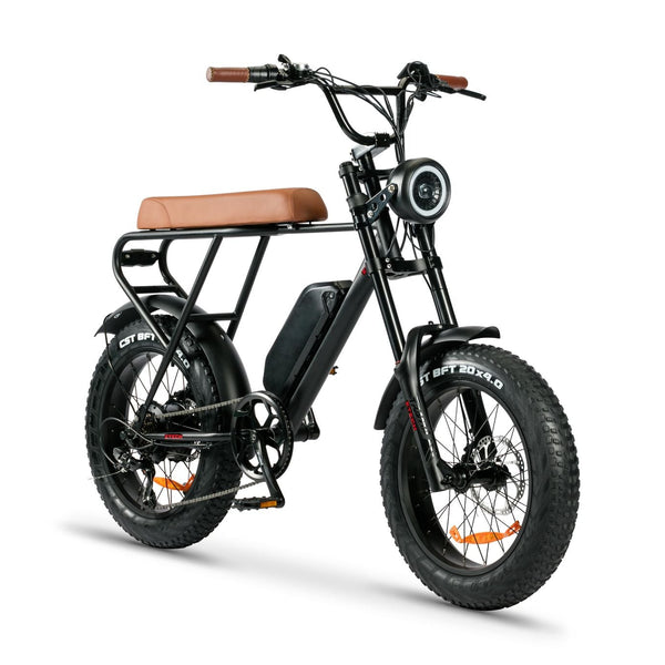 BULLBIKE Sofia Fatbike E-Bike 250W 48V 13Ah 20 km/h Mit Gashebel