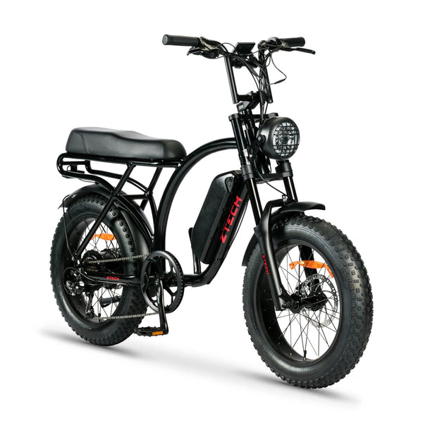 BULLBIKE Catania Fatbike E-Bike 250W 48V 13Ah 20 km/h Mit Gashebel