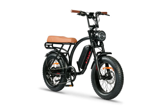 BULLBIKE Sofia Fatbike E-Bike 250W 48V 13Ah 25 km/h 