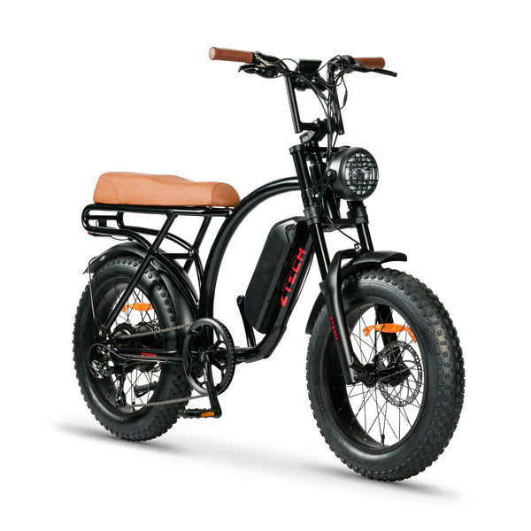 BULLBIKE Sofia Fatbike E-Bike 250W 48V 13Ah 25 km/h 
