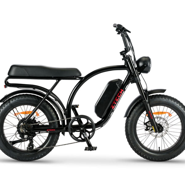 BULLBIKE Catania Fatbike E-Bike 250W 48V 13Ah 20 km/h Mit Gashebel