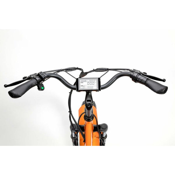 BULLBIKE TOKIO E-Dreirad Fahrrad 48V 13Ah Lithium 250W 20Km/h