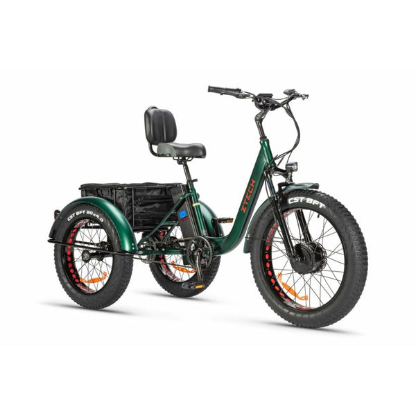 BULLBIKE TOKIO E-Dreirad Fahrrad 48V 13Ah Lithium 250W 20Km/h