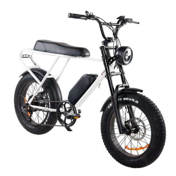 BULLBIKE Sofia Fatbike E-Bike 250W 48V 13Ah 20 km/h Mit Gashebel