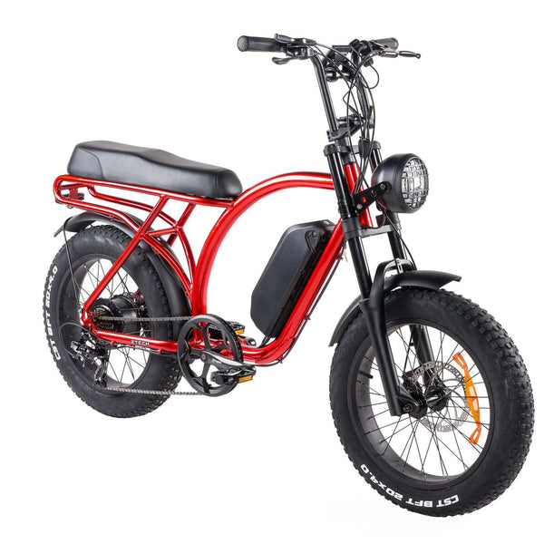 BULLBIKE Catania Fatbike E-Bike 250W 48V 13Ah 20 km/h Mit Gashebel