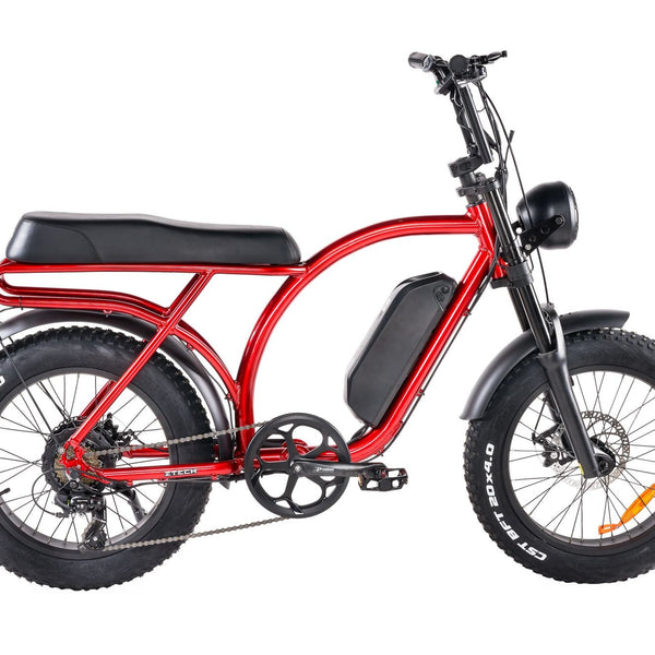 BULLBIKE Catania Fatbike E-Bike 250W 48V 13Ah 20 km/h Mit Gashebel