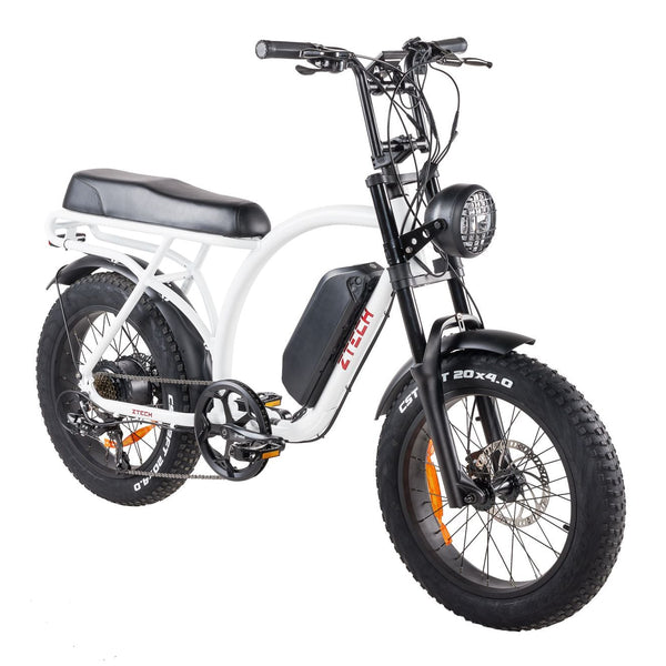 BULLBIKE Catania Fatbike E-Bike 250W 48V 13Ah 20 km/h Mit Gashebel