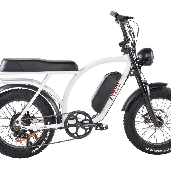 BULLBIKE Catania Fatbike E-Bike 250W 48V 13Ah 20 km/h Mit Gashebel