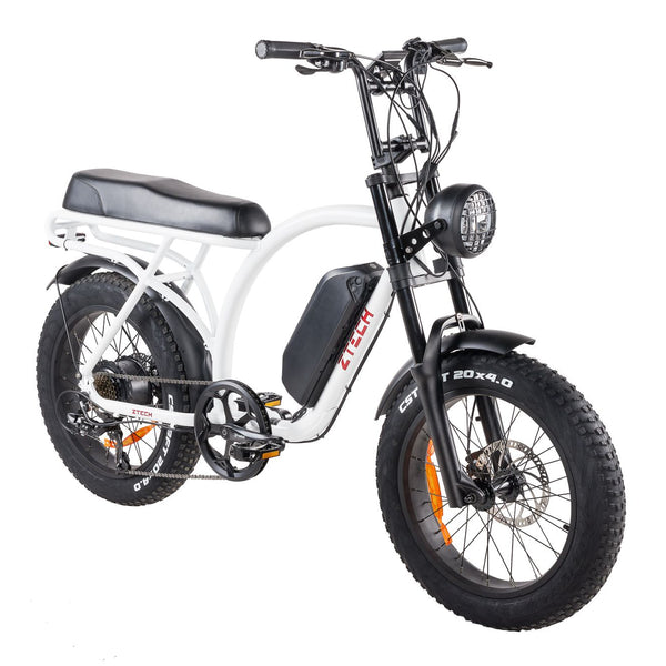 BULLBIKE Sofia Fatbike E-Bike 250W 48V 13Ah 25 km/h 