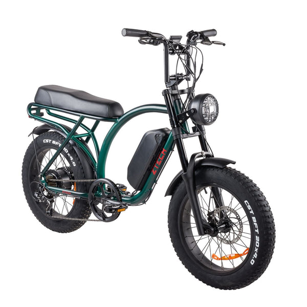BULLBIKE Catania Fatbike E-Bike 250W 48V 13Ah 20 km/h Mit Gashebel
