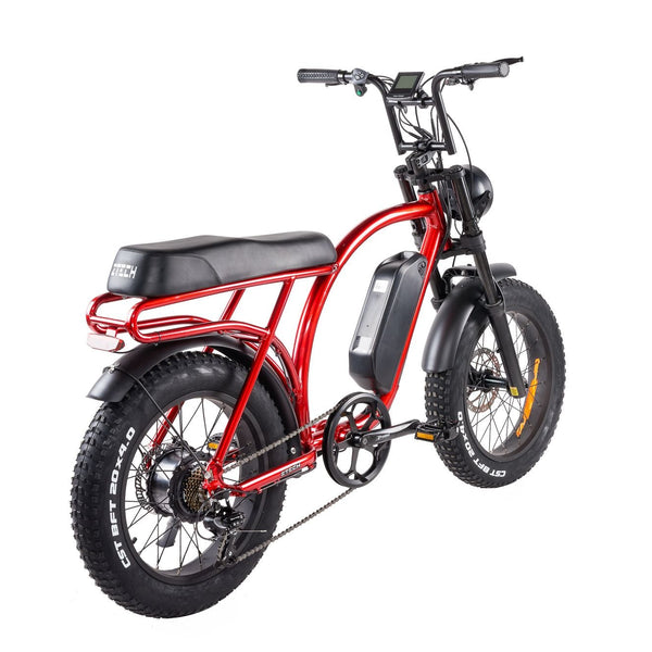 BULLBIKE Catania Fatbike E-Bike 250W 48V 13Ah 20 km/h Mit Gashebel