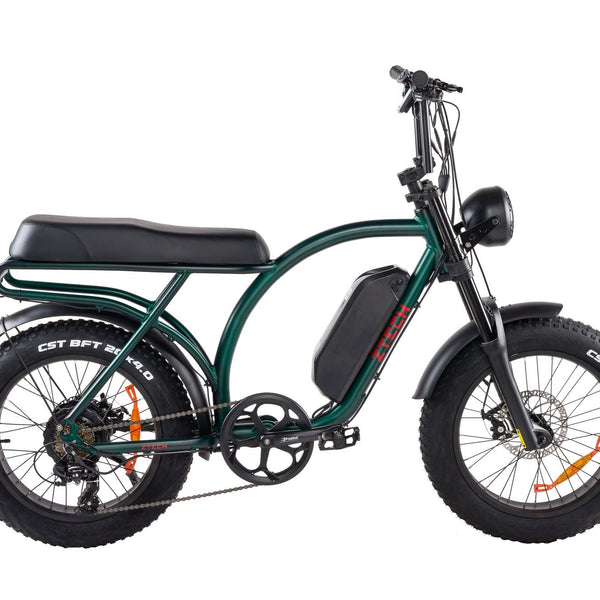 BULLBIKE Catania Fatbike E-Bike 250W 48V 13Ah 20 km/h Mit Gashebel