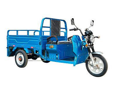 BULLBIKE Hong Kong Cargo 500W 60V 45AH 20km/h