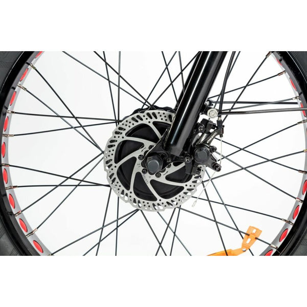 BULLBIKE TOKIO E-Tricycle Bicycle 48V 13Ah Lithium 250W 25Km/h 
